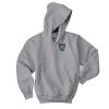 Youth EcoSmart ® Pullover Hooded Sweatshirt Thumbnail