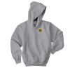 Youth EcoSmart ® Pullover Hooded Sweatshirt Thumbnail